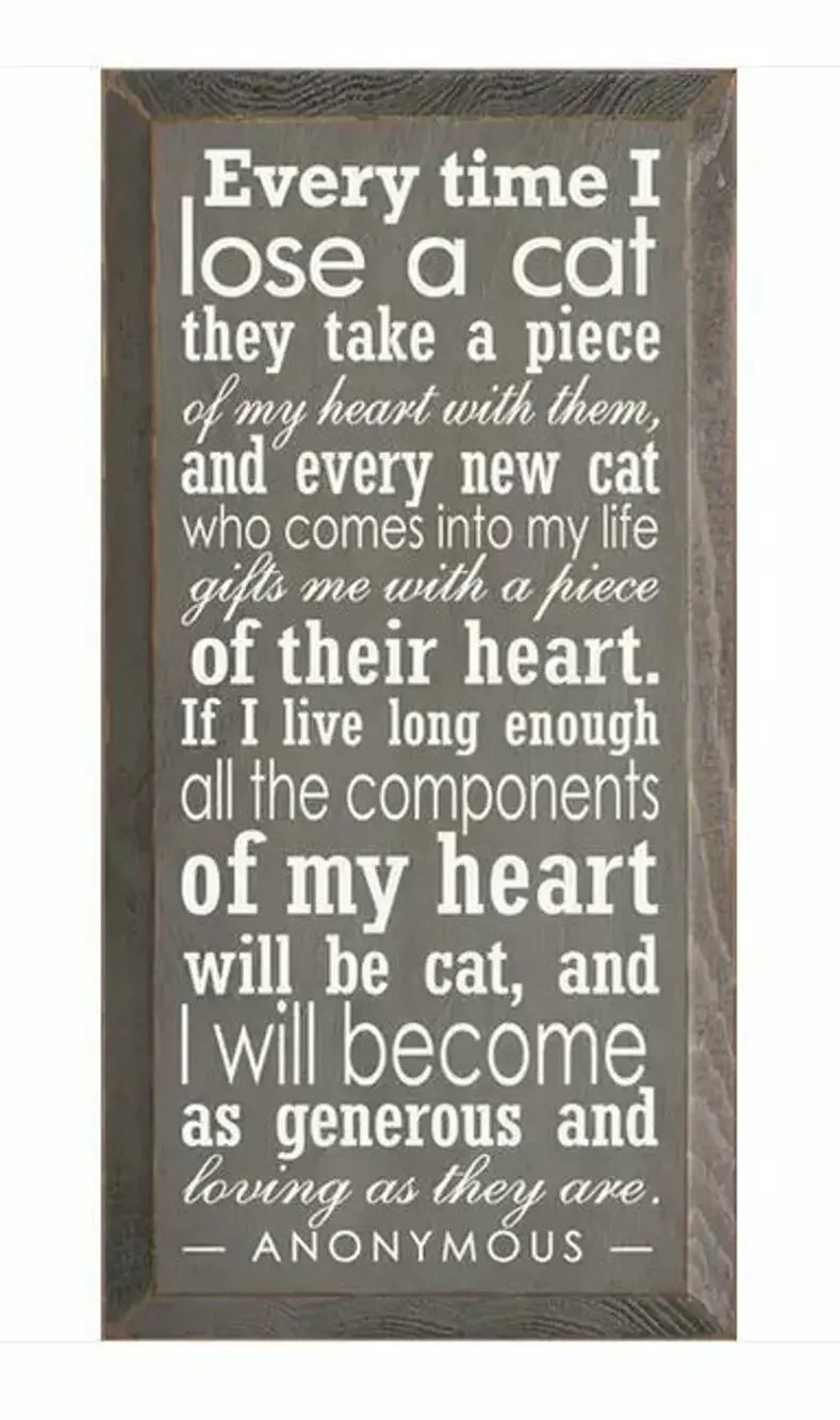 New Folk Art Country Every Time I Lose a Cat Kitten Memorial Wood SIGN USA Made